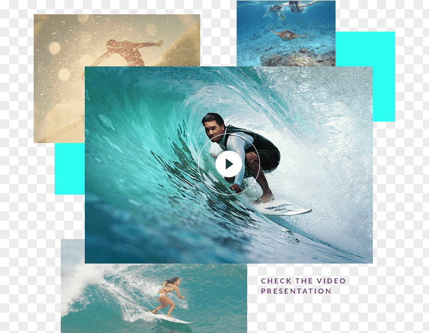 Surfing Surfboard Standup Paddleboarding Surf Culture Sport PNG