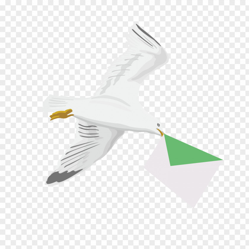 Vector Pattern Flying Pigeon Homing Bird Post PNG