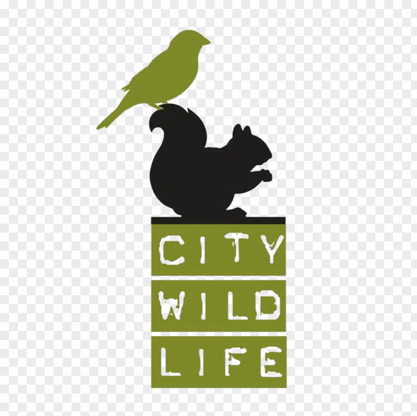 Bird City Wildlife Inc 11th Street Bridge Park Urban Animal PNG