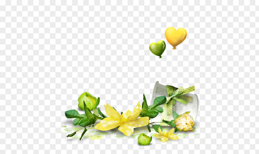 Flower Bouquet Photography Clip Art PNG