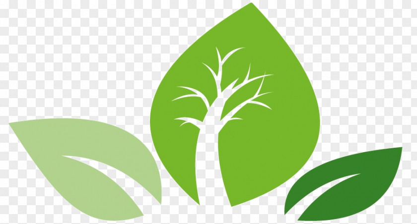 Leaf Kwekerij A.D. Visser Logo Leyland Cypress Plant Stem PNG