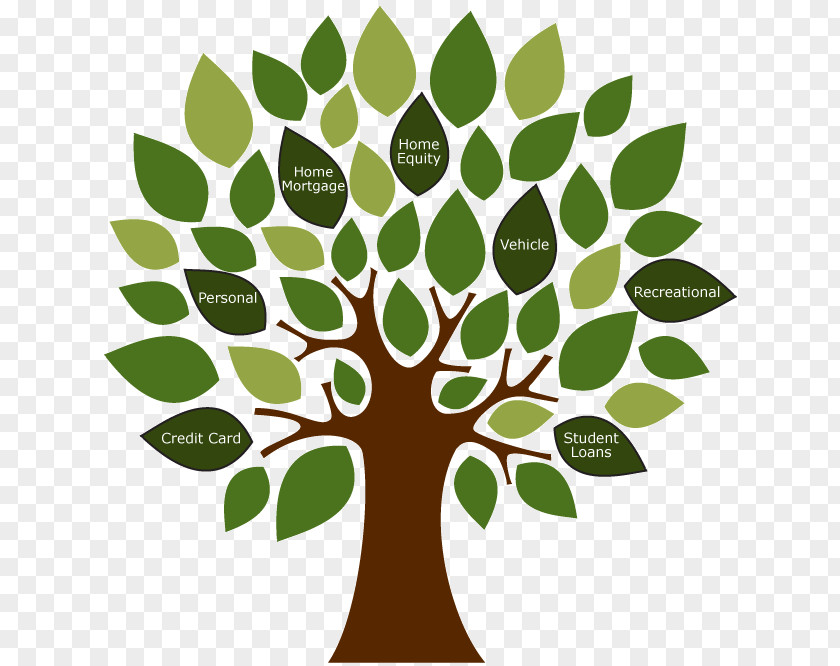 Personal Loan Environmentally Friendly Vector Graphics Stock Photography Tree Illustration PNG