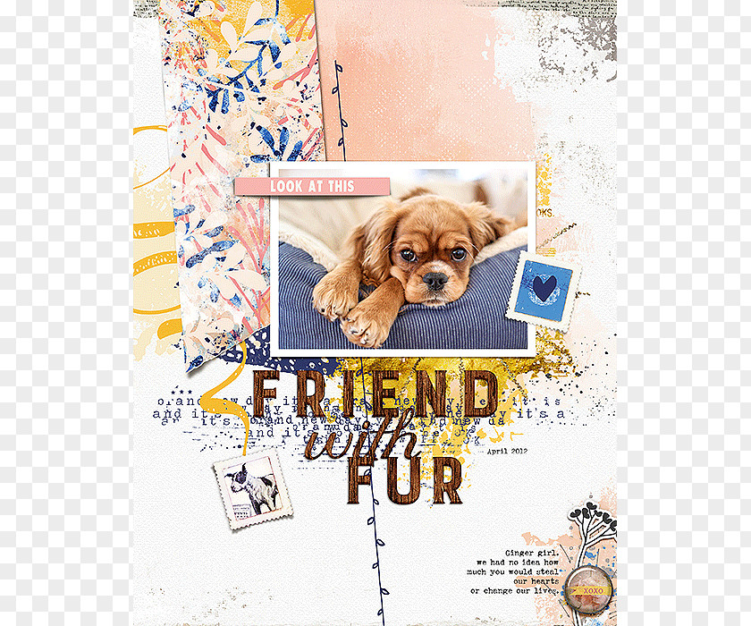 Puppy Love Dog Breed Clothes PNG