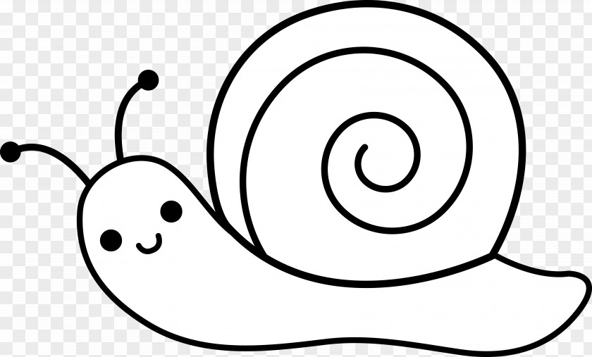 Snails Snail Molluscs Drawing Coloring Book Clip Art PNG