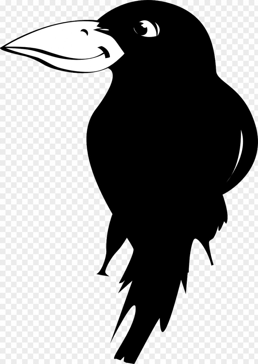 Bird Large-billed Crow PNG