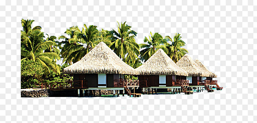 Coconut Tree Bali Punta Cana Hotel Sofitel Bora Marara Beach Resort Bungalow PNG