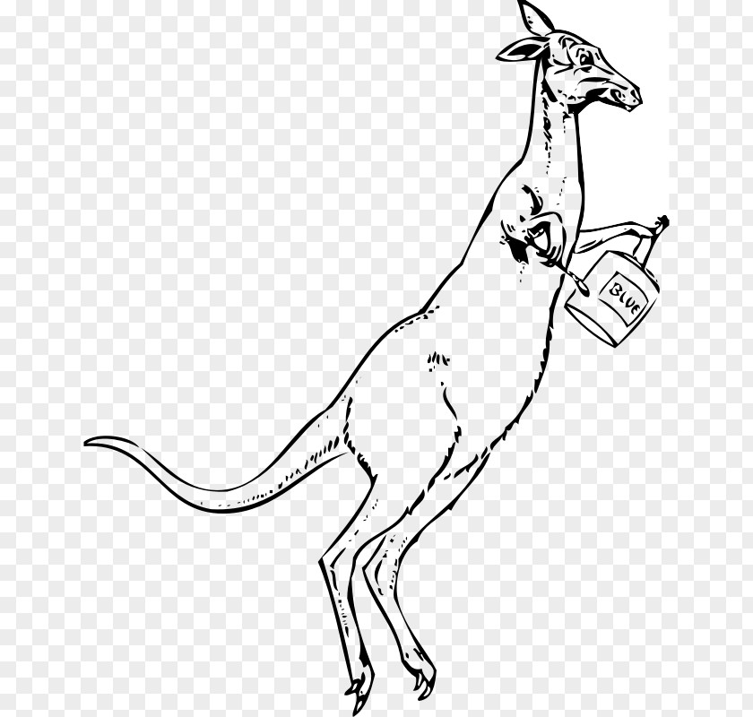 Paintbrush Pictures Kangaroo Cartoon Drawing Clip Art PNG