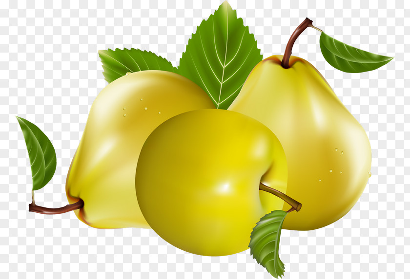 Pear Apple Royalty-free Clip Art PNG