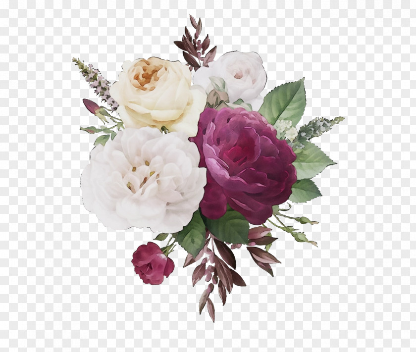 Peony Common Rose PNG