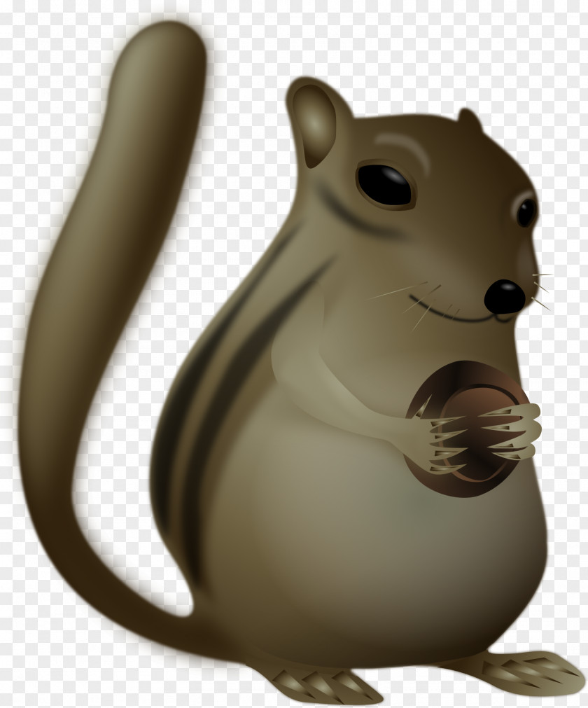 Squirrel Chipmunk Clip Art PNG