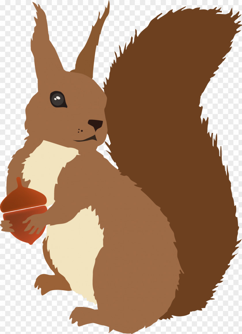 Squirrel Domestic Rabbit Hare Rodent Illustration PNG