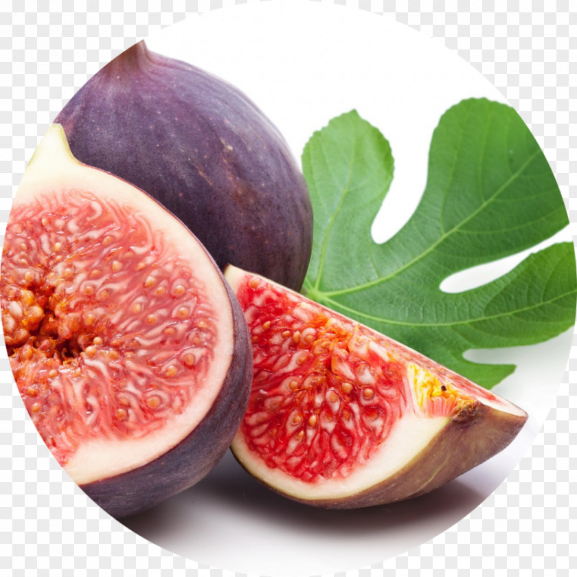 Tree Common Fig Fruit Auglis PNG