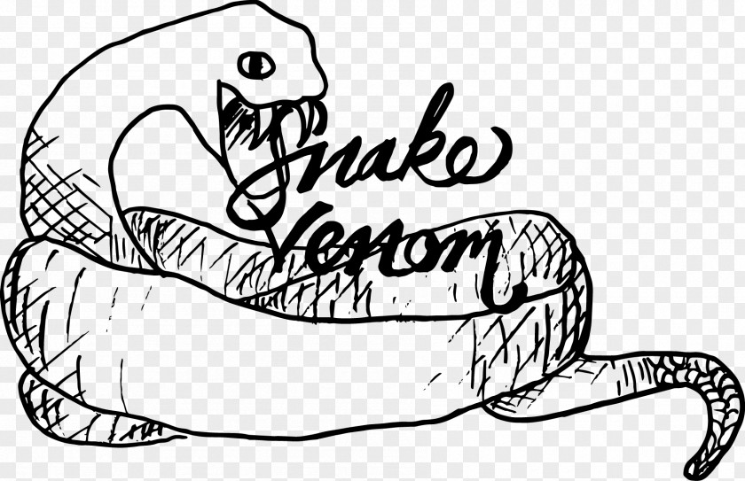 Venomous Snake Carnivora Drawing Line Art Clip PNG