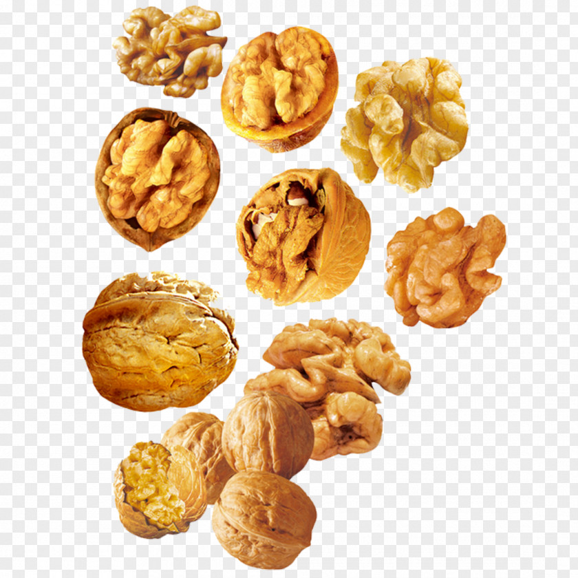 Walnut English Vegetarian Cuisine Pecan Junk Food PNG