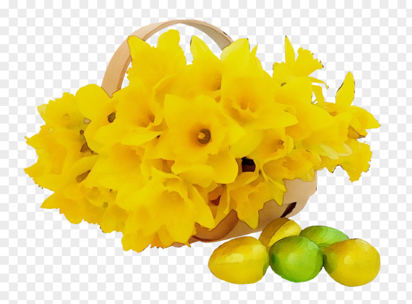 Yellow Flower Plant PNG