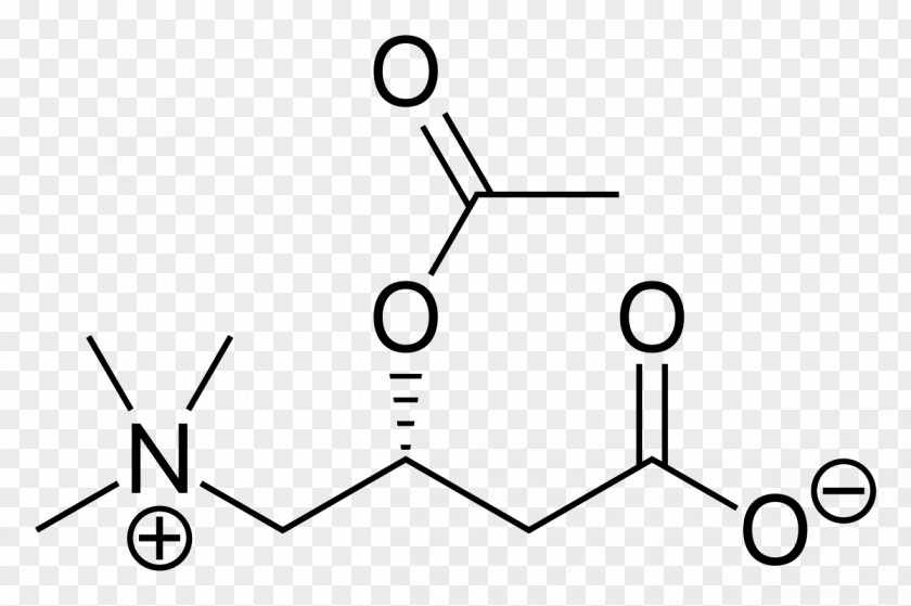 Half Life Gamma-Aminobutyric Acid Amino Neurotransmitter Chemical Compound PNG