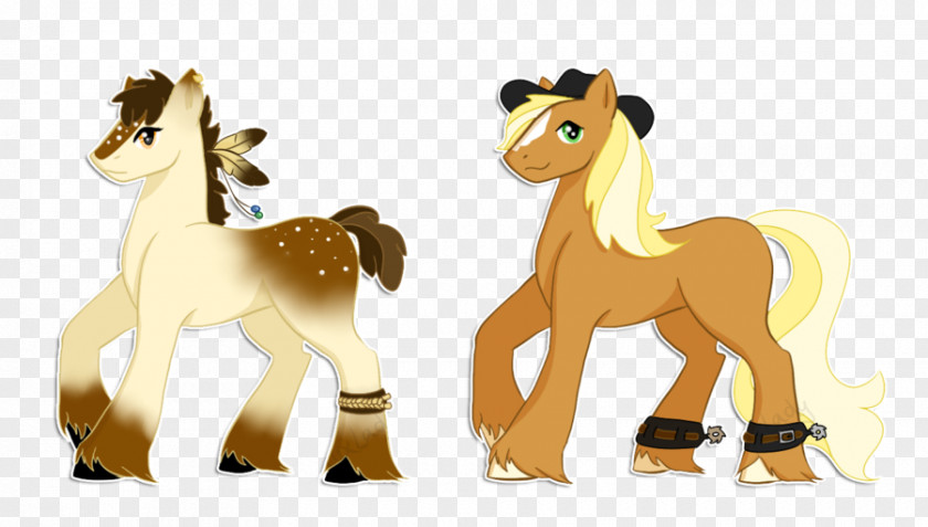 Mustang Pony Foal Colt Stallion PNG