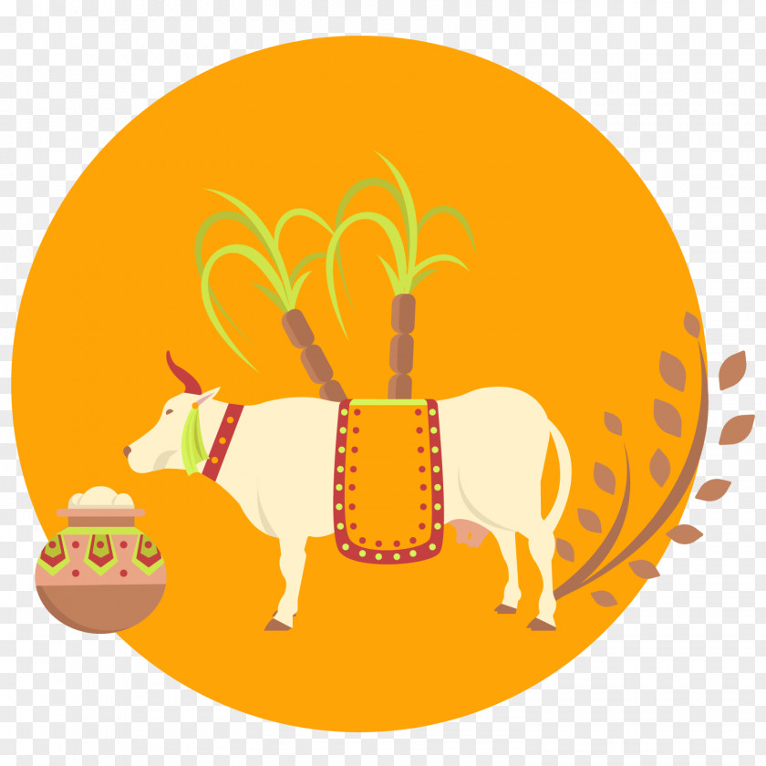 Vector Cow And Rice Thai Pongal Flat Design Euclidean PNG