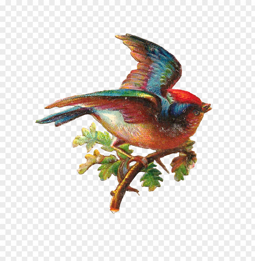 Birds And Flowers Bird Clip Art PNG