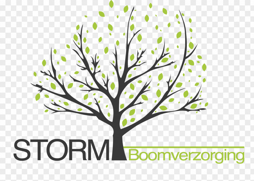 Boom Logo Twig Storm Boomverzorging Arboriculture Tree Branch PNG