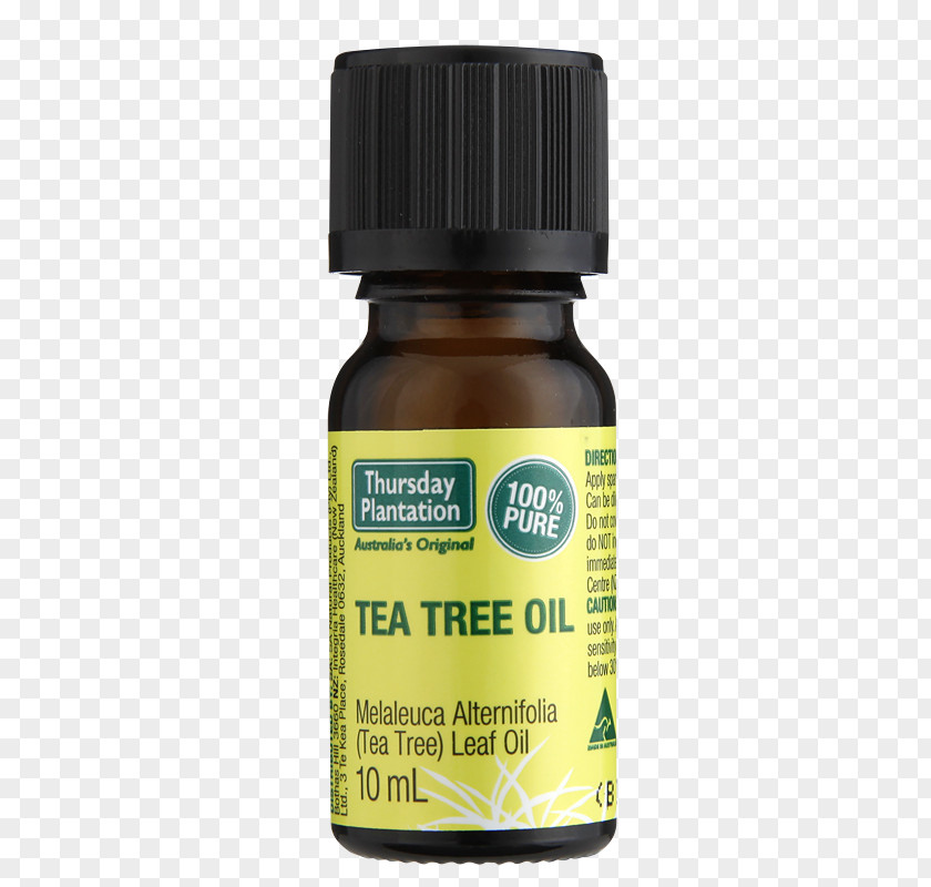 Tea Tree Oil Narrow-leaved Paperbark Cajeput PNG