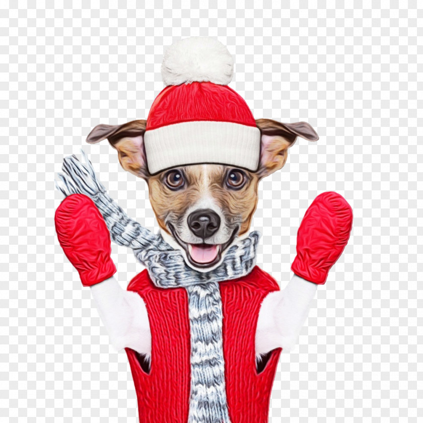 Costume Christmas Santa Claus PNG