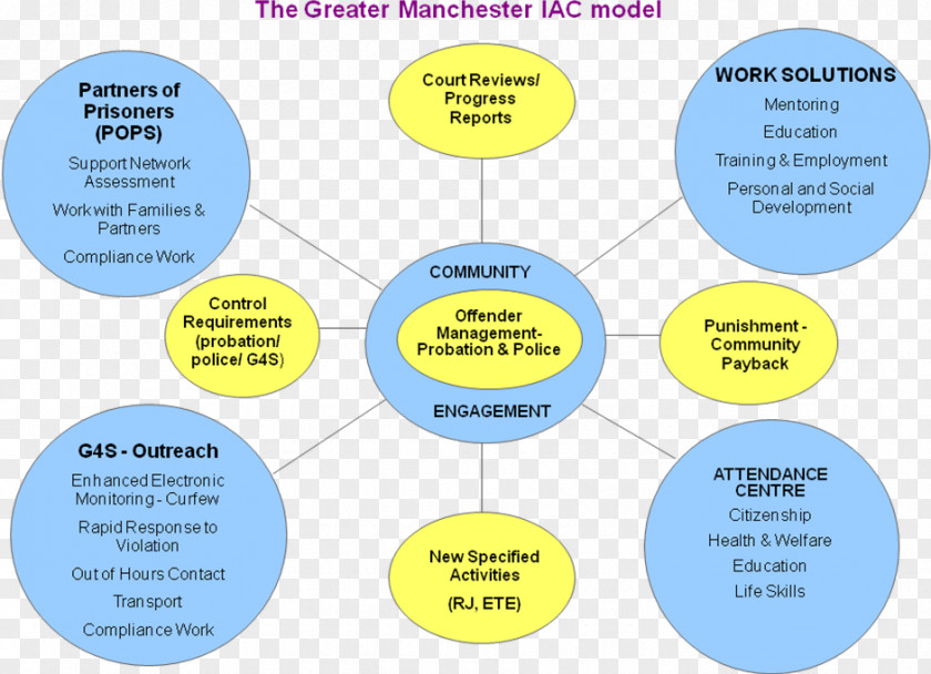 Design Brand Organization Diagram PNG