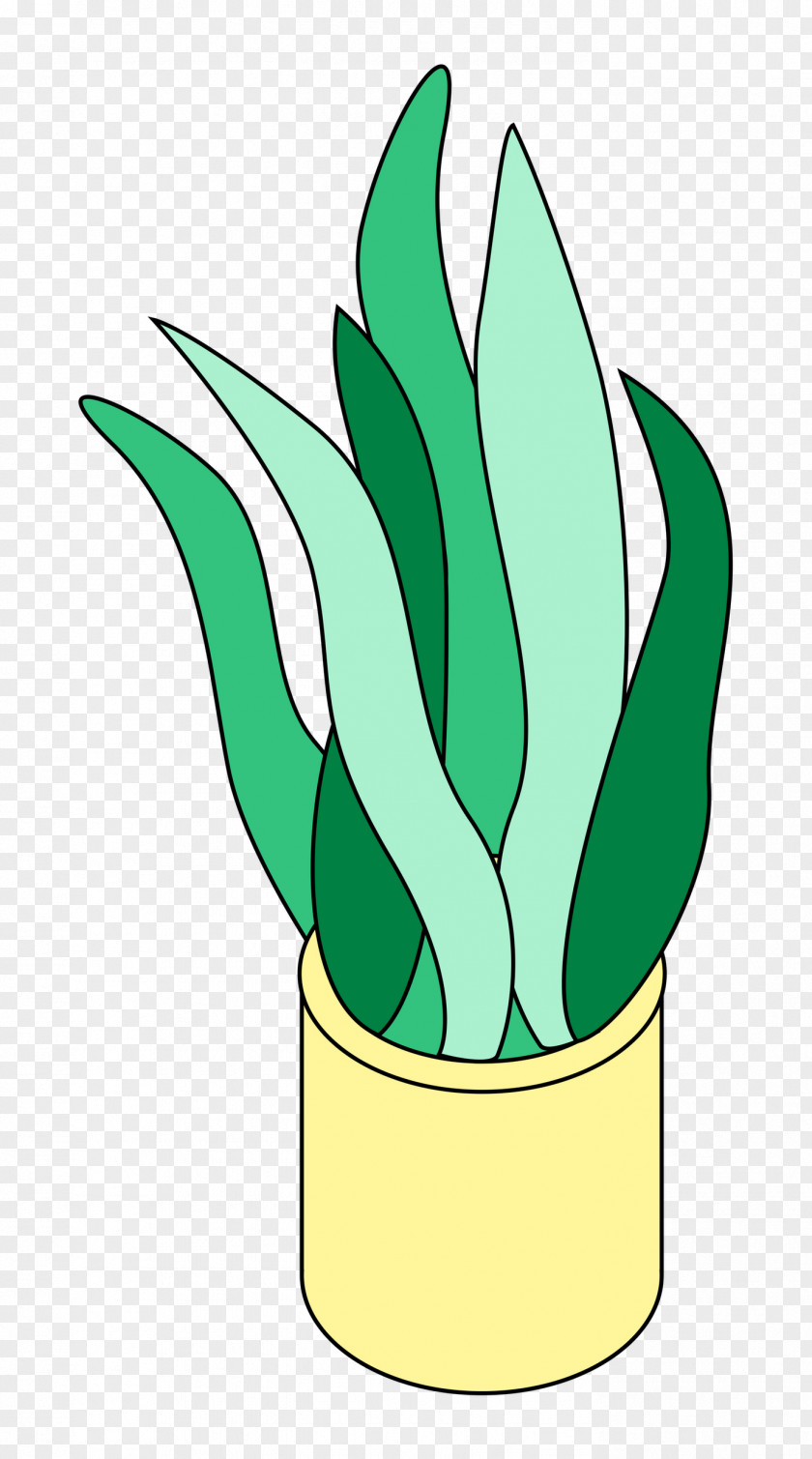 Flower Line Art Plant Stem Leaf Green PNG