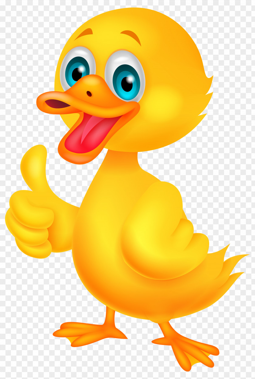 Little Duck Clip Art Image Donald Cartoon PNG