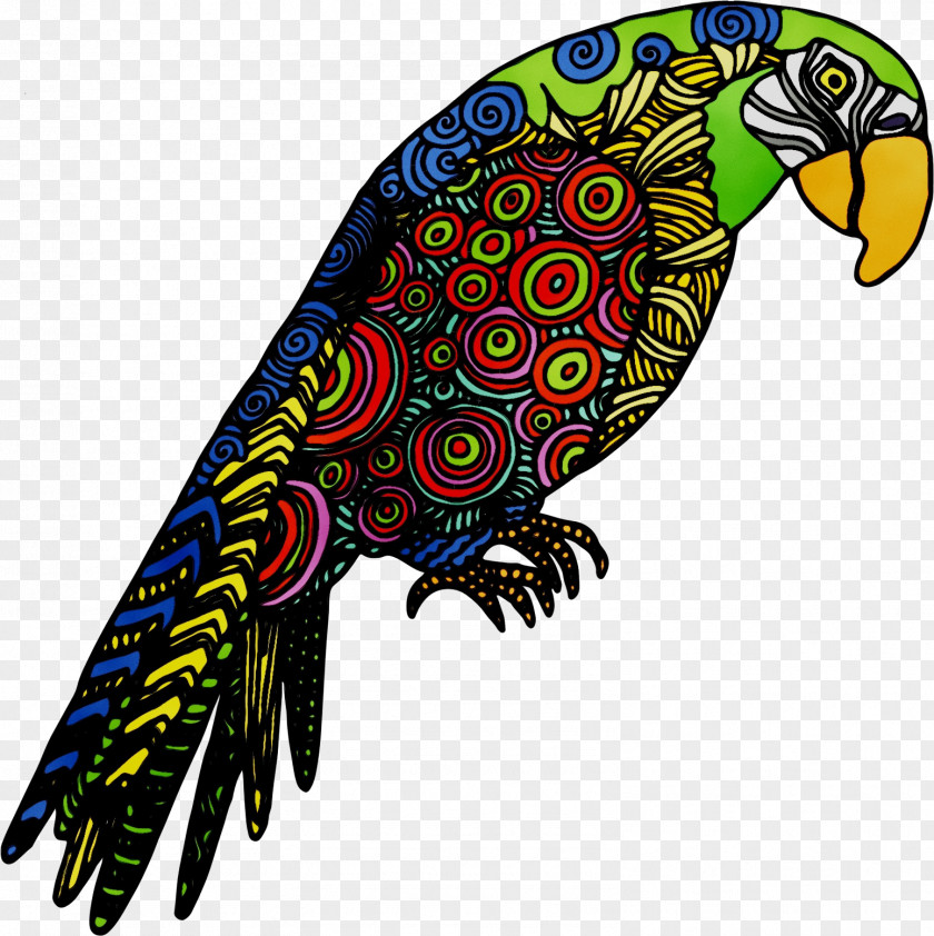 Macaw Beak Bird Parakeet Feather PNG