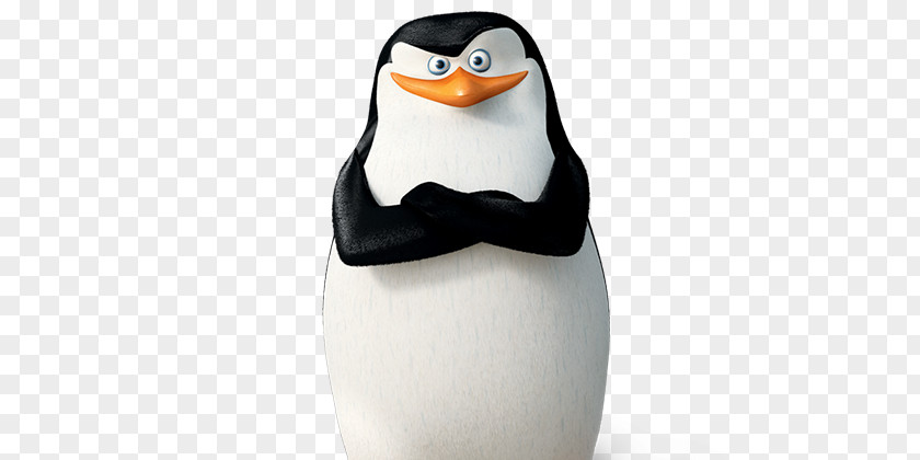Penguin Skipper Kowalski Madagascar DreamWorks Animation PNG