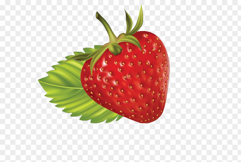 Strawberry Clipart Clip Art PNG