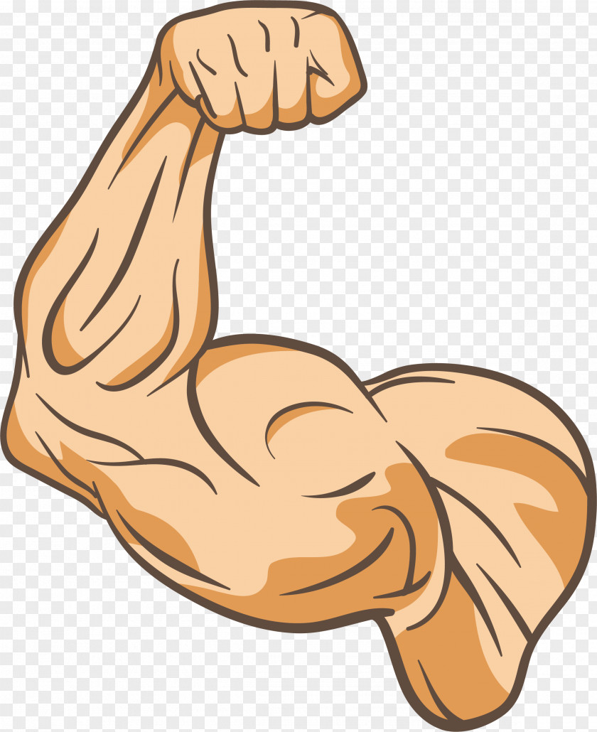 The Trainer's Arm Muscle Physical Fitness Thumb Clip Art PNG