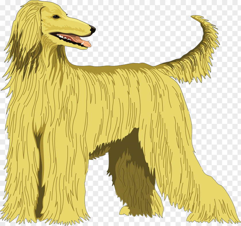 Afghan Hound Saluki Ancient Dog Breeds Taigan PNG