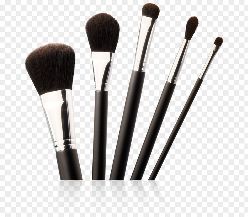 Animal Brush Makeup Cosmetics Cosmetic Container Beauty PNG