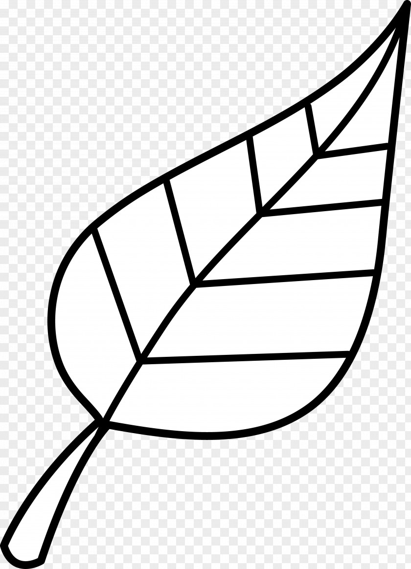 Black Leaves Cliparts Look At And White Leaf Clip Art PNG