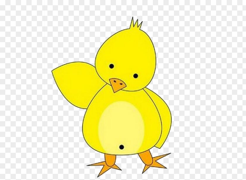 Chick Duck Yellow Drawing Cartoon Illustration PNG
