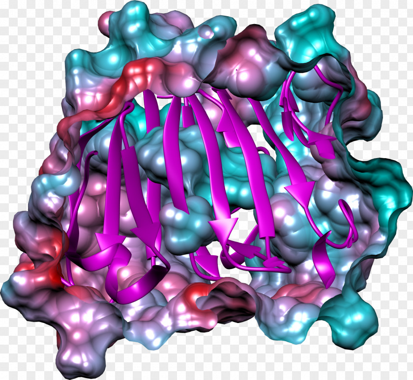 Gamma Globulin Art Pink M Organism PNG