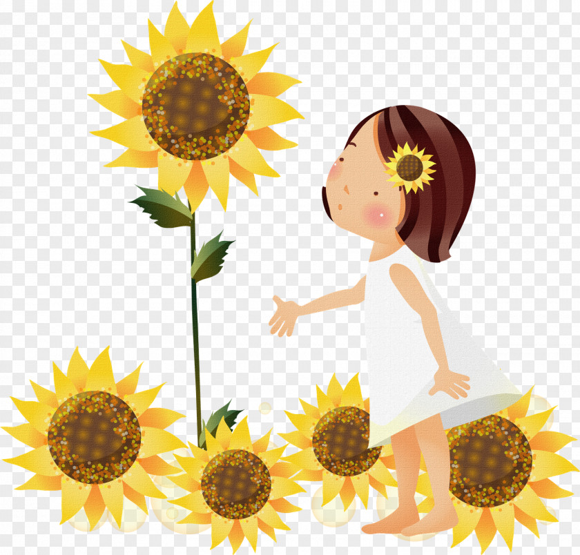 Girassol Common Sunflower Clip Art PNG
