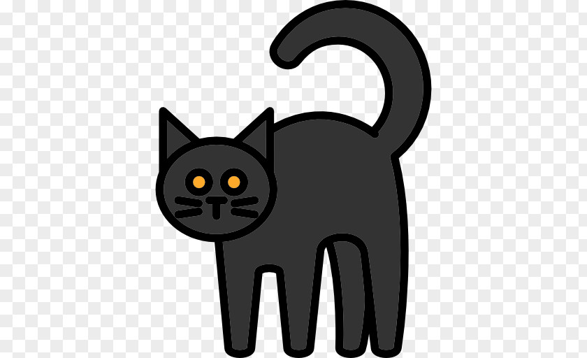 Kitten Black Cat Whiskers PNG