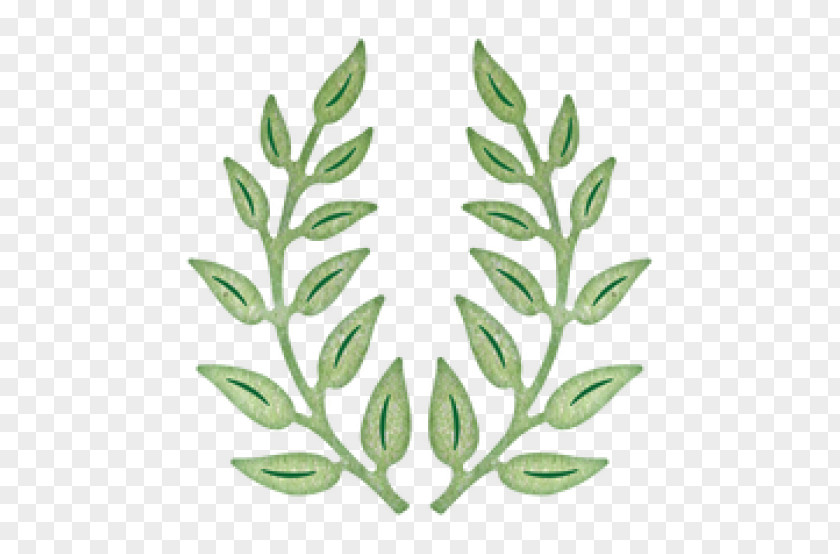 Olive Branches Branch Cheery Lynn Designs Paper Die PNG