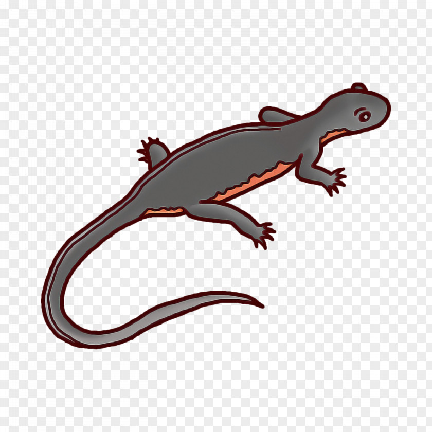 Reptiles Lizard Chameleons Common Iguanas Salamander PNG