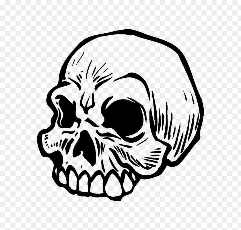 Skull Calavera Sticker Adhesive Car PNG