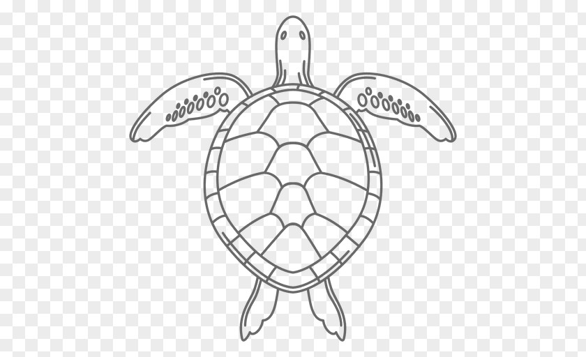 Tortoide Green Sea Turtle Reptile Drawing PNG