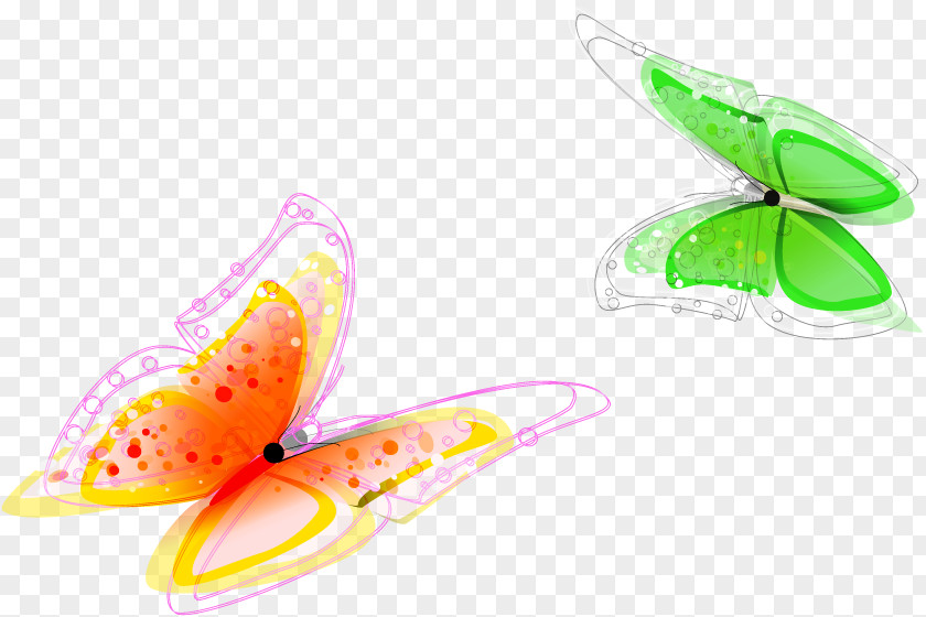 Vector Colorful Butterfly Euclidean PNG