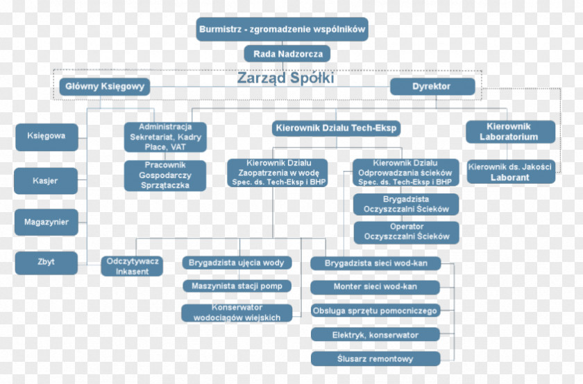 Business Organizational Structure Legal Name Private Limited Company PNG