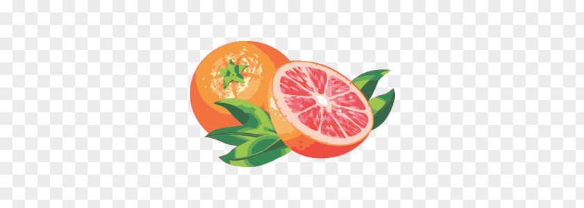 Grapefruit PNG clipart PNG