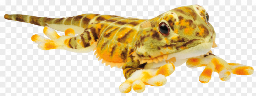 Lizard Reptile Komodo Dragon Stuffed Animals & Cuddly Toys Bearded PNG