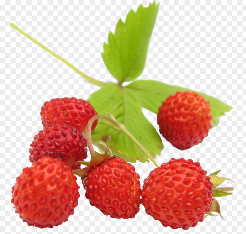 Strawberry Wild Amorodo Slatko PNG