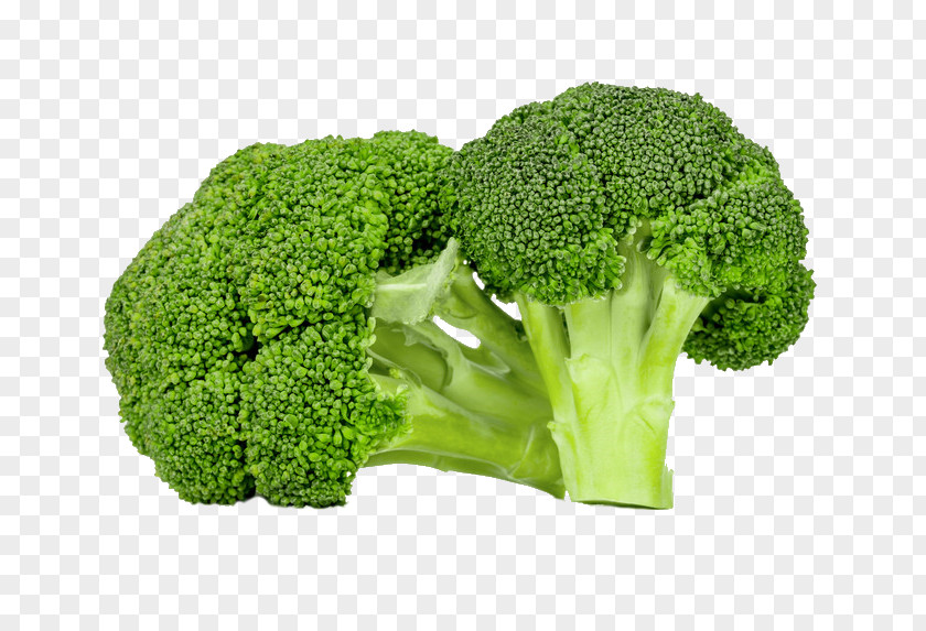 Broccoli Superfood Concept Evergreen PNG